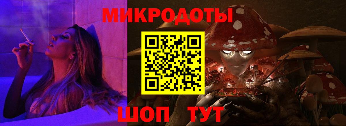 Чапаевск  Псилоцибиновые грибы Psilocybe  Вход с VPN 